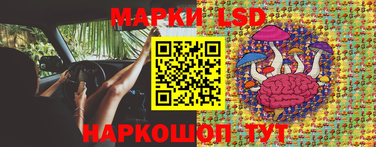 Марки NBOMe 1,5мг  Марки NBOMe 1,5мг  Марки NBOMe  Щёлково  Вход с VPN 