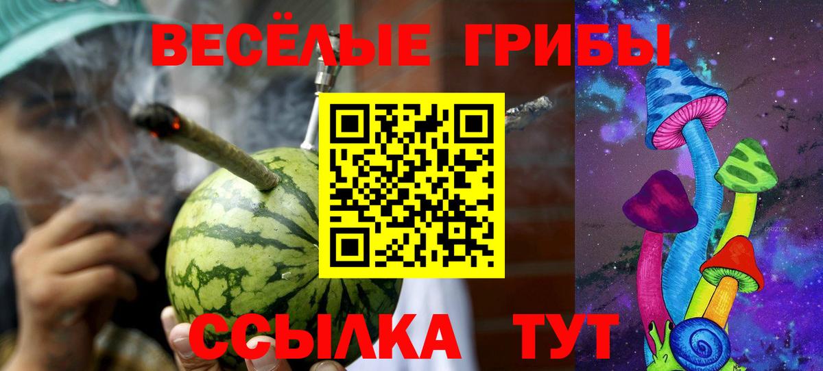 Галлюциногенные грибы мухоморы Щёлково